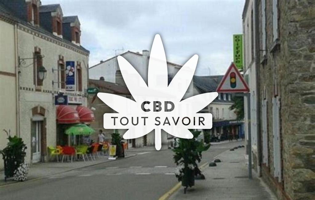 Village à Saint-Michel-de-Fronsac avec feuille Cannabis CBD