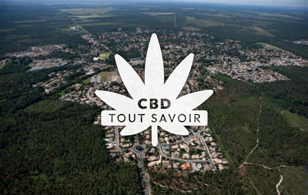 Village à Saint-Jean-D'Illac avec feuille Cannabis CBD