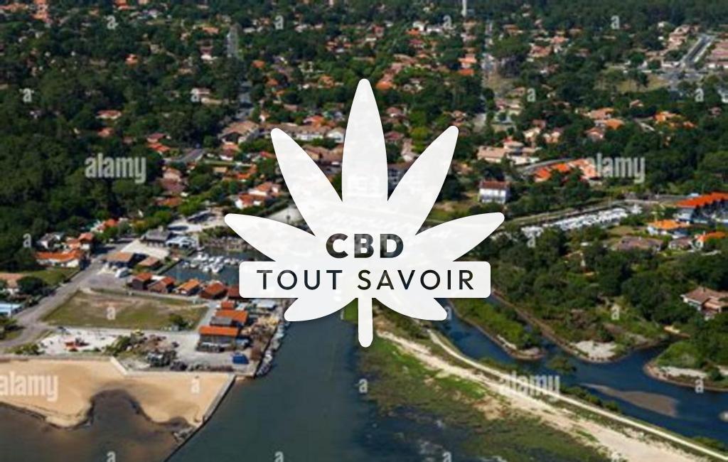 Village à Lanton avec feuille Cannabis CBD