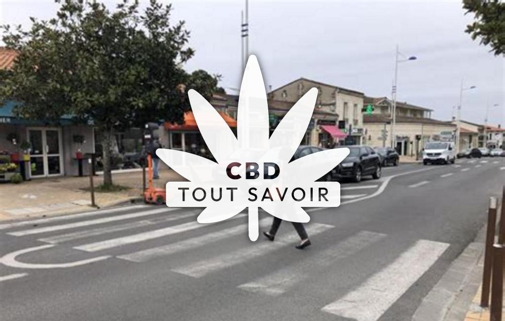 Village à Le-Haillan avec feuille Cannabis CBD