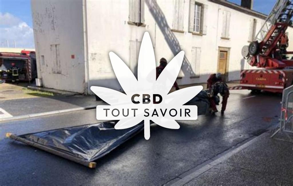 Village à Gironde-sur-Dropt avec feuille Cannabis CBD