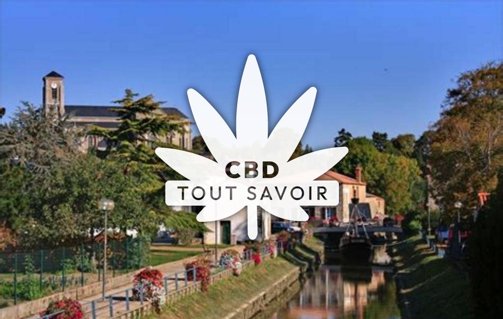 Village à Saint-Hilaire-de-la-Noaille avec feuille Cannabis CBD