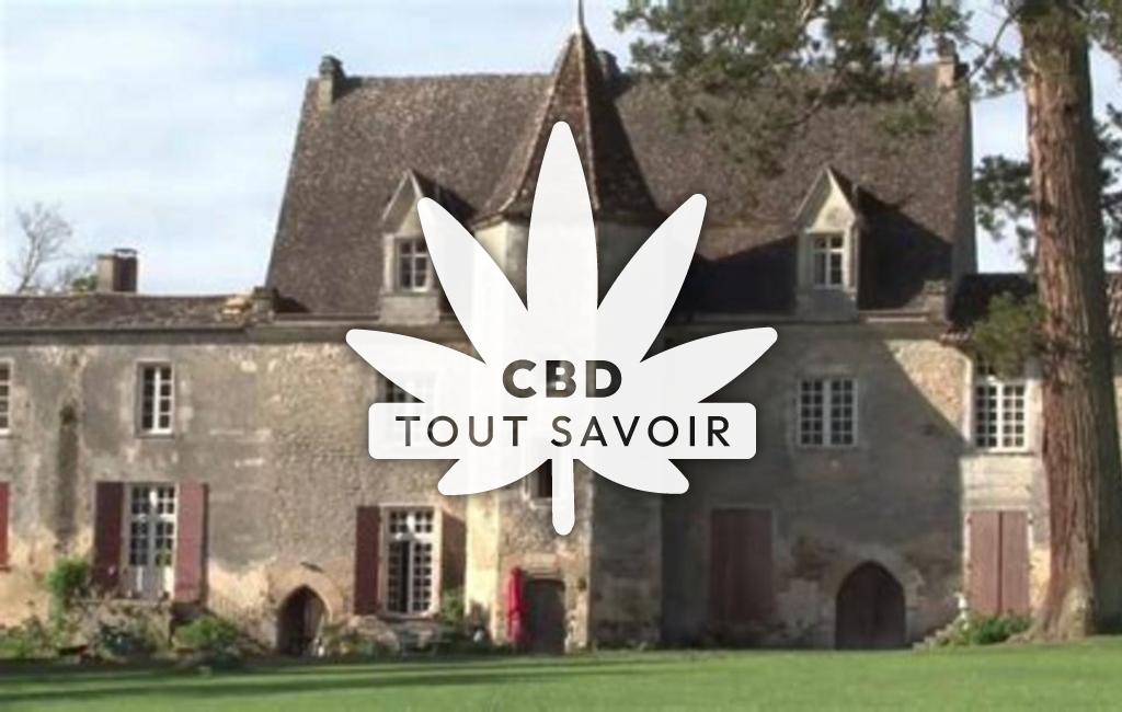 Village à Pujols-sur-Ciron avec feuille Cannabis CBD