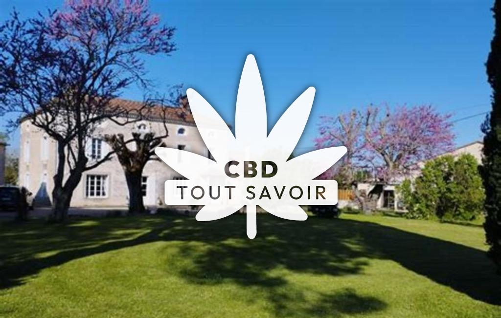 Village à Saint-Andre-Et-Appelles avec feuille Cannabis CBD