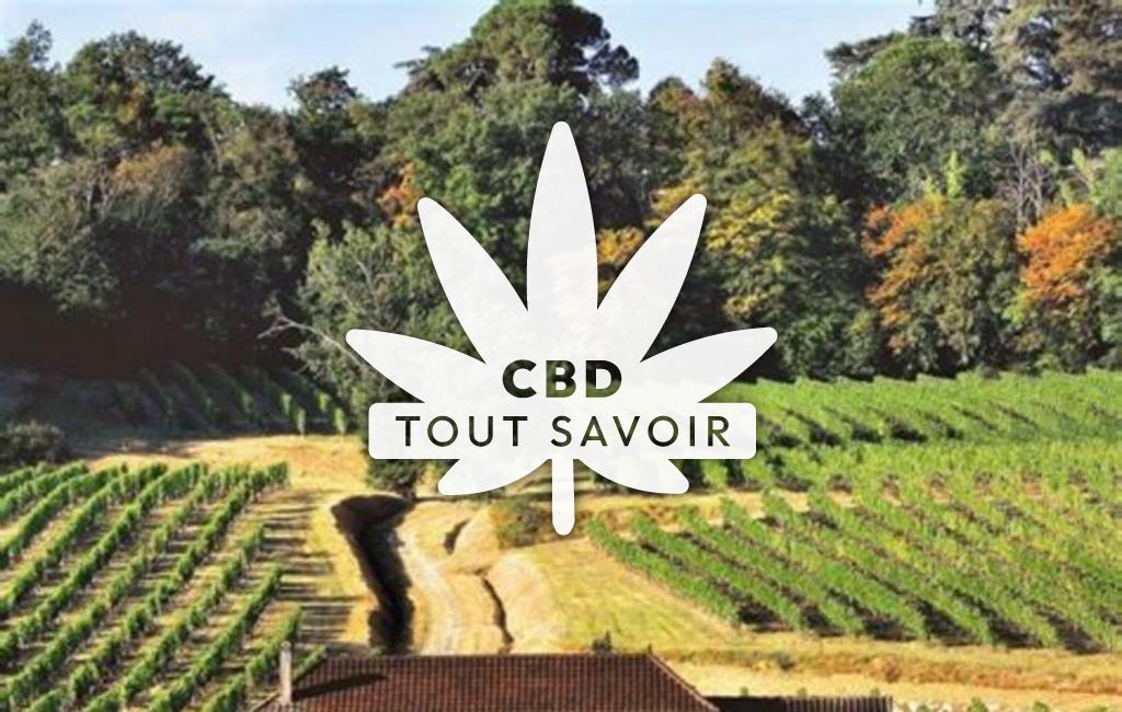 Village à Saint-Philippe-du-Seignal avec feuille Cannabis CBD