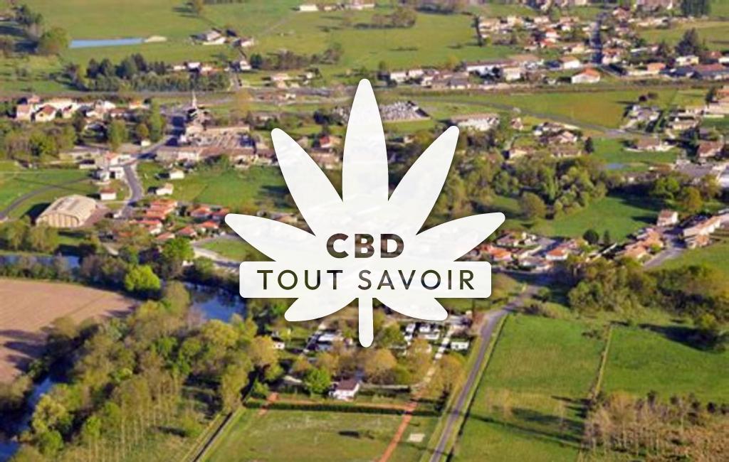 Village à Les-Eglisottes-Et-Chalaures avec feuille Cannabis CBD