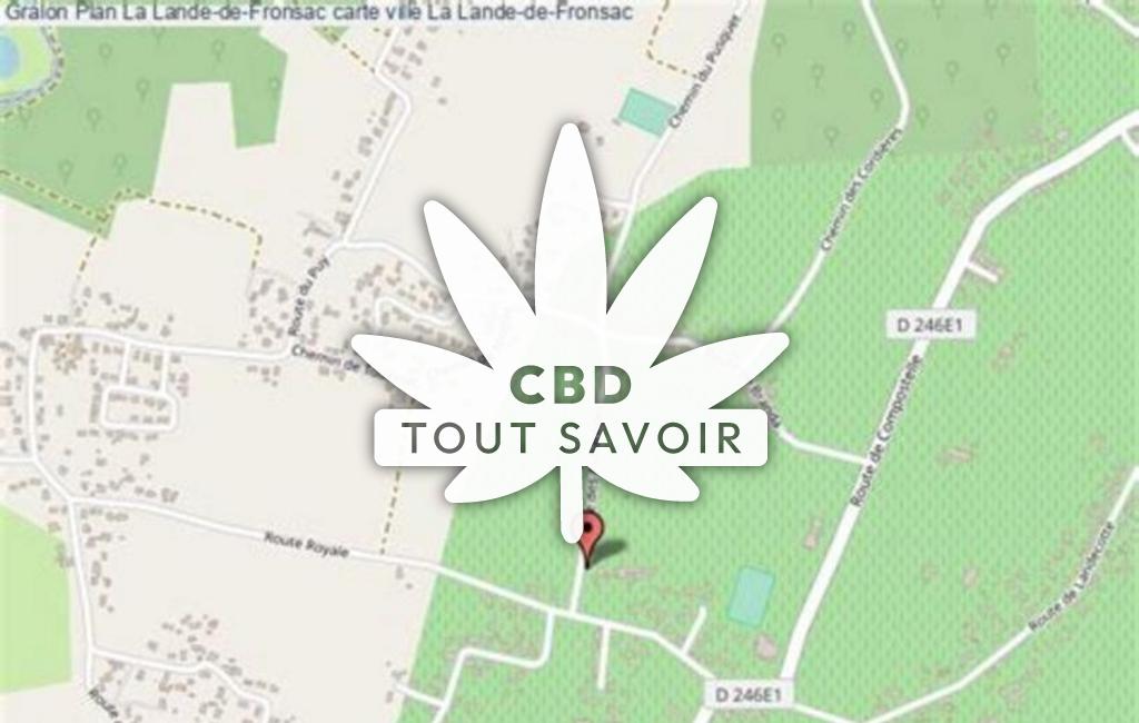 Village à La-Lande-de-Fronsac avec feuille Cannabis CBD