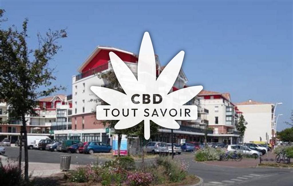 Village à La-TeSainte-de-Buch avec feuille Cannabis CBD