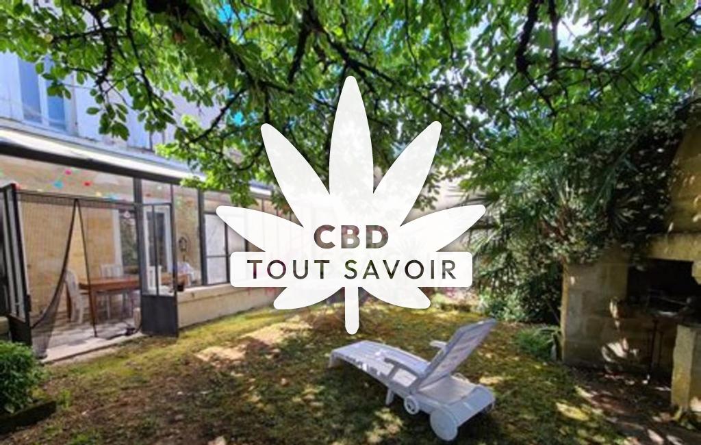 Village à Saint-Pey-D'Armens avec feuille Cannabis CBD