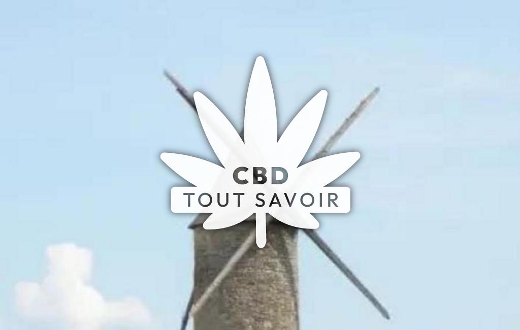 Village à Blaignan-Prignac avec feuille Cannabis CBD