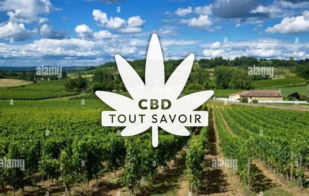 Village à Bossugan avec feuille Cannabis CBD
