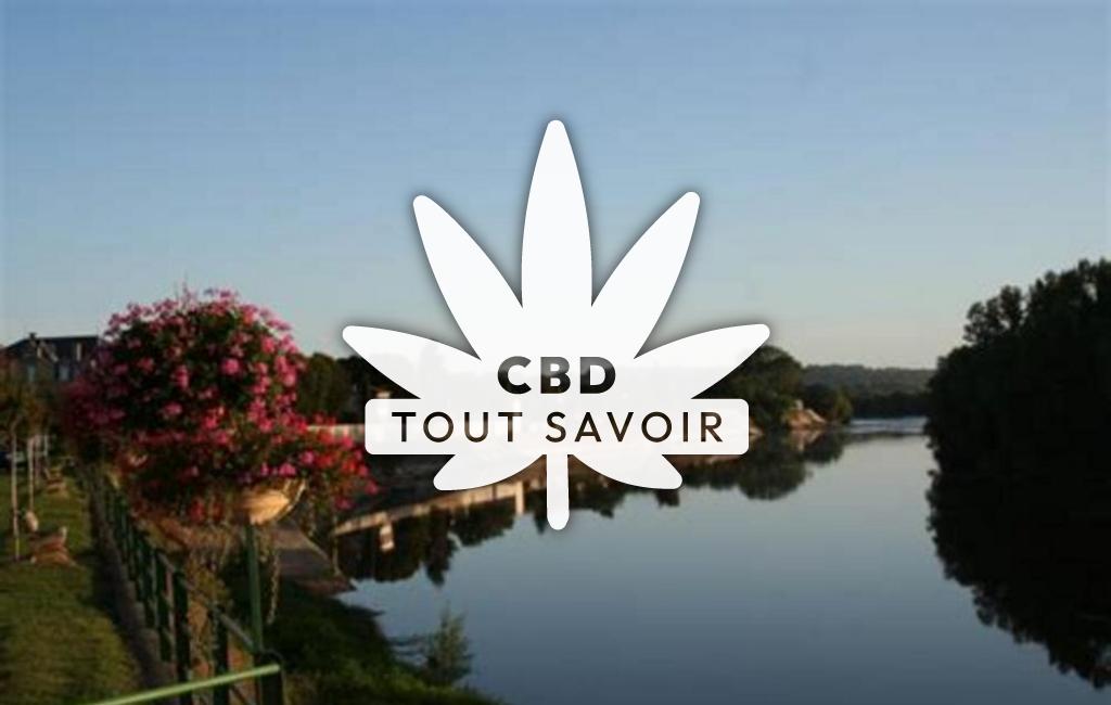 Village à Flaujagues avec feuille Cannabis CBD