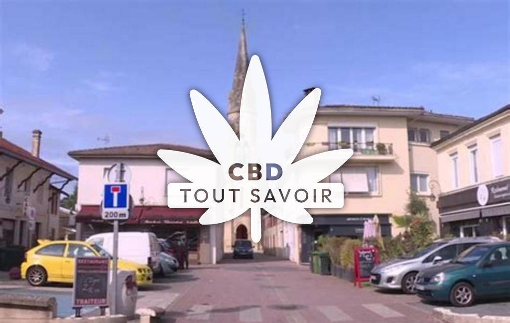 Village à Les-Salles-de-Castillon avec feuille Cannabis CBD