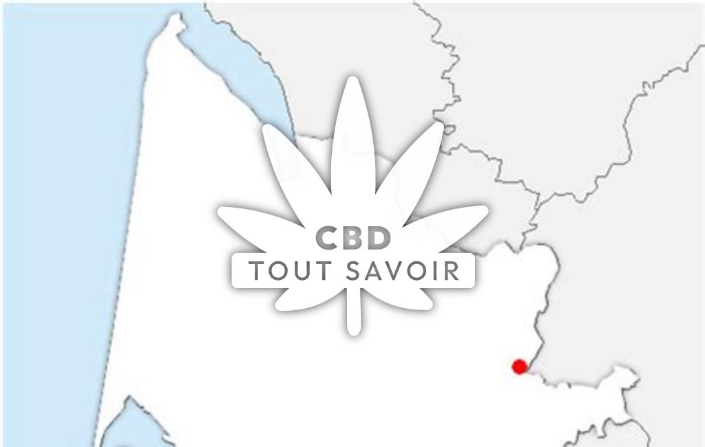 Village à Saint-Magne-de-Castillon avec feuille Cannabis CBD