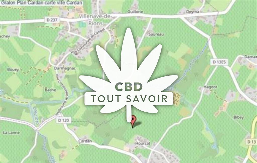 Village à Cardan avec feuille Cannabis CBD