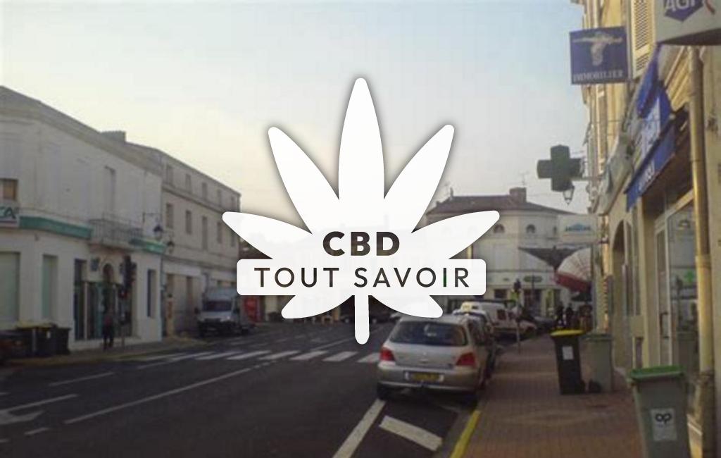 Village à CaSaintelnau-de-Medoc avec feuille Cannabis CBD