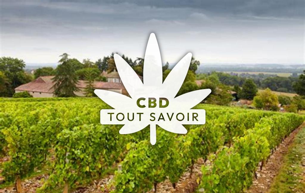 Village à Lalande-de-Pomerol avec feuille Cannabis CBD