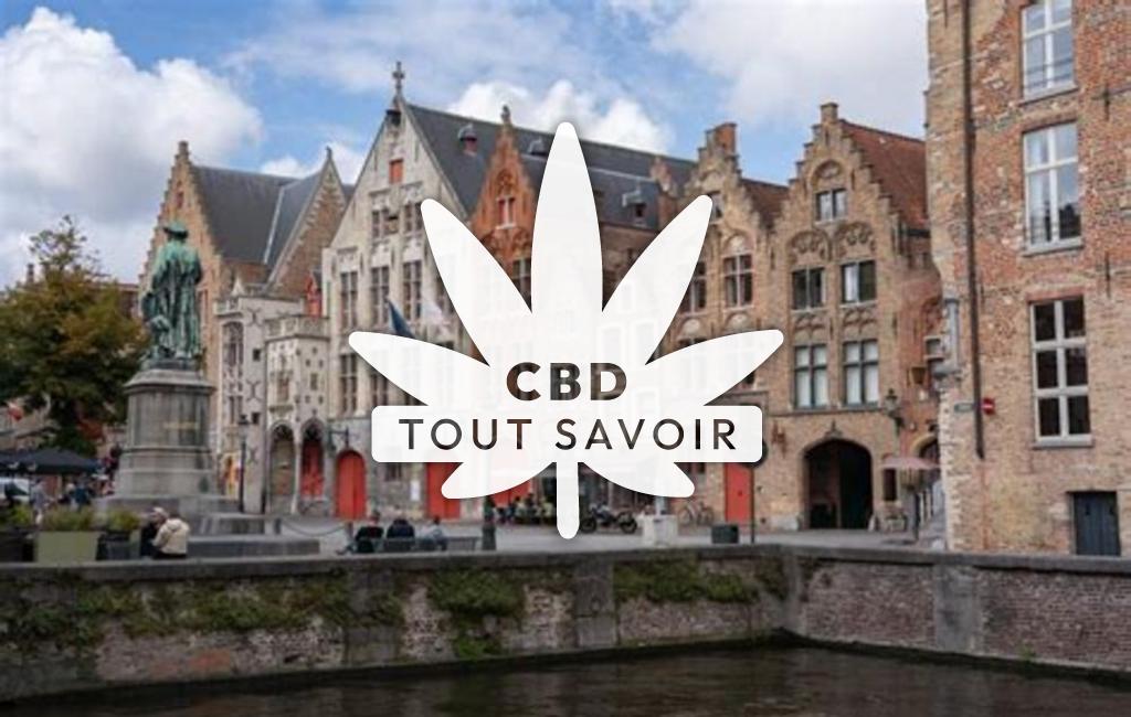 Village à Bruges avec feuille Cannabis CBD