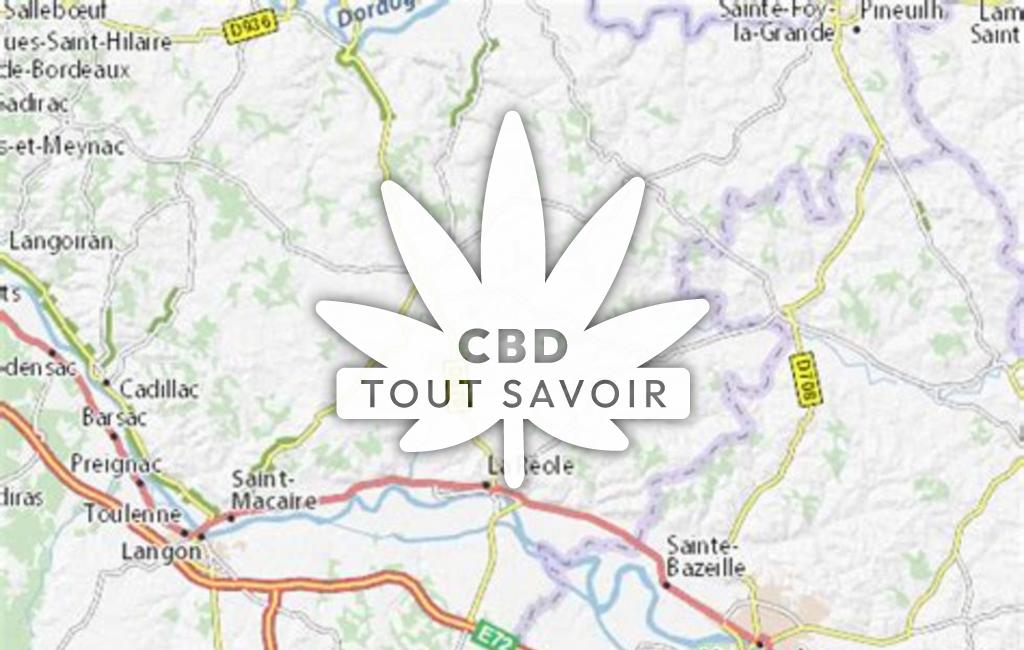 Village à Landerrouet-sur-Segur avec feuille Cannabis CBD