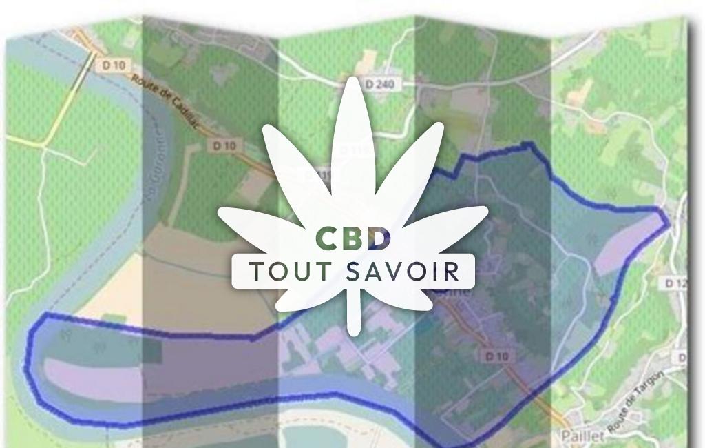 Village à Lestiac-sur-Garonne avec feuille Cannabis CBD