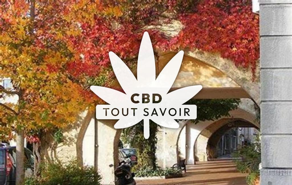 Village à Saint-Vivien-de-Monsegur avec feuille Cannabis CBD