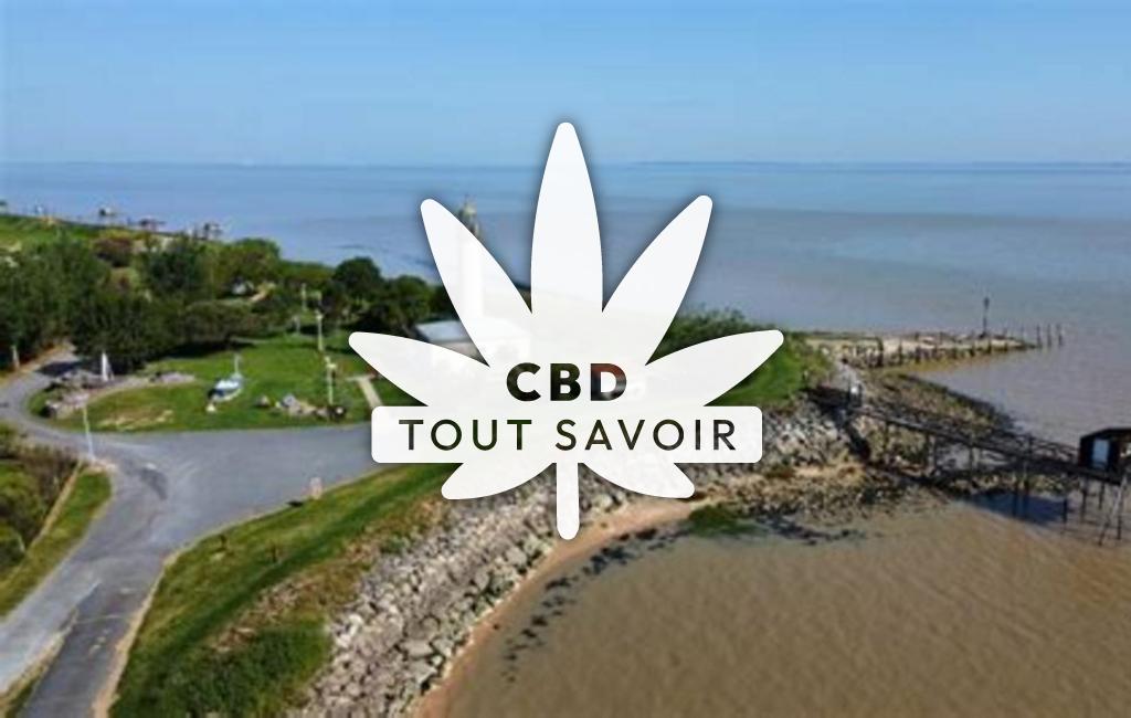 Village à Jau-Dignac-Et-Loirac avec feuille Cannabis CBD