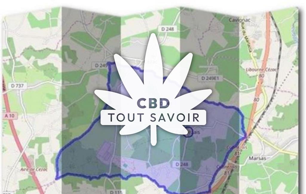 Village à Cubnezais avec feuille Cannabis CBD
