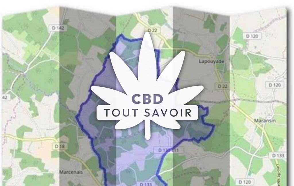 Village à Tizac-de-Lapouyade avec feuille Cannabis CBD