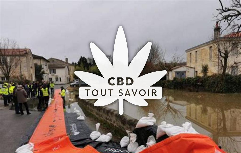Village à Isle-Saint-Georges avec feuille Cannabis CBD
