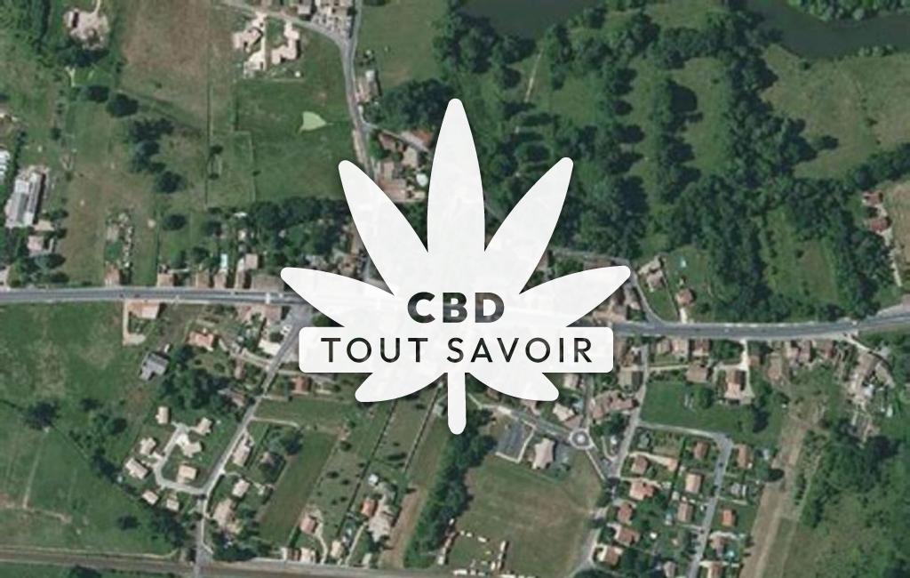 Village à Camps-sur-l'Isle avec feuille Cannabis CBD