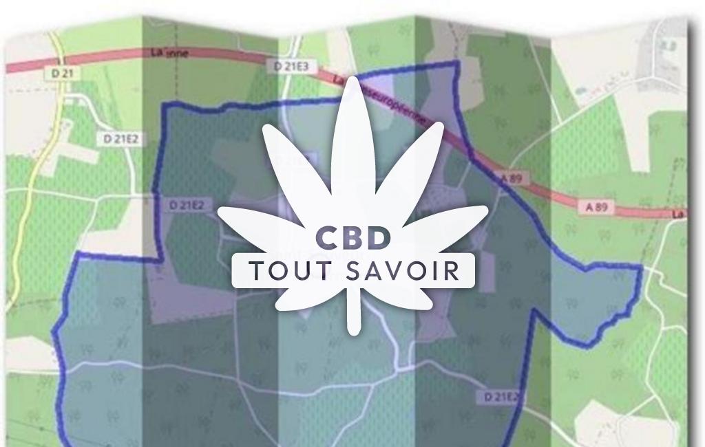 Village à Saint-Sauveur-de-Puynormand avec feuille Cannabis CBD