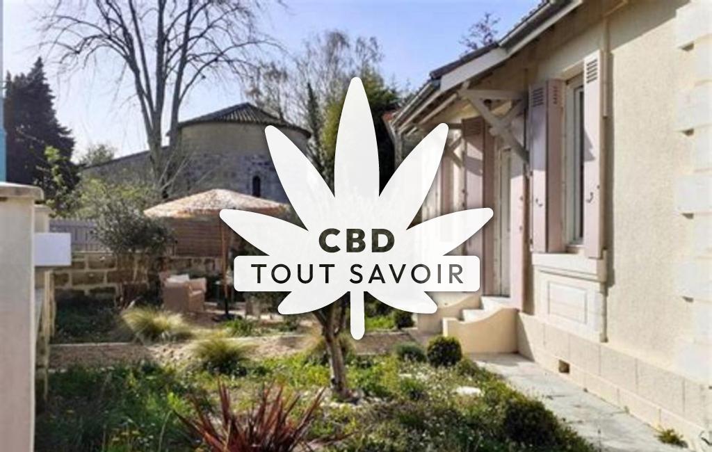 Village à Saint-Seurin-sur-l'Isle avec feuille Cannabis CBD