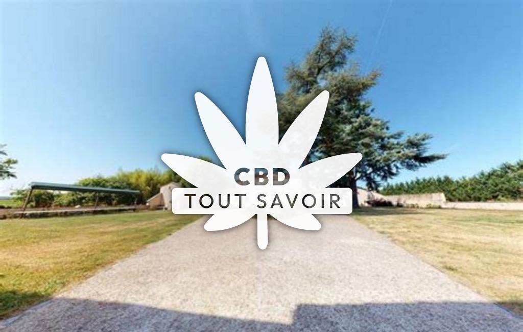 Village à Blesignac avec feuille Cannabis CBD