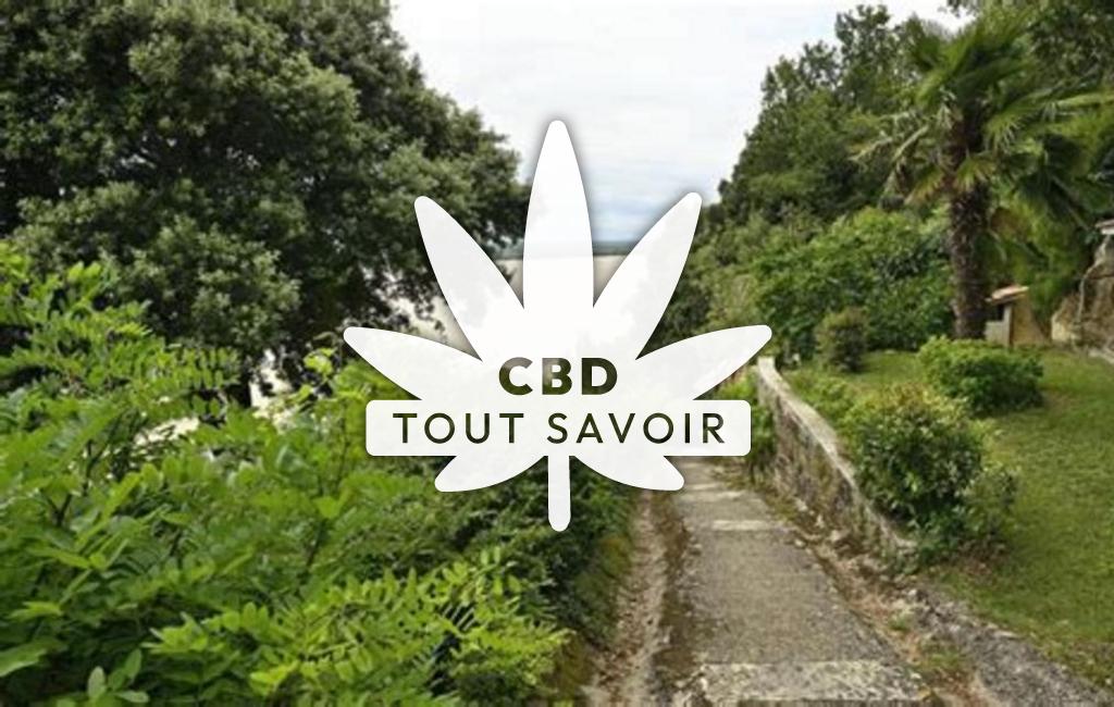 Village à Gauriac avec feuille Cannabis CBD