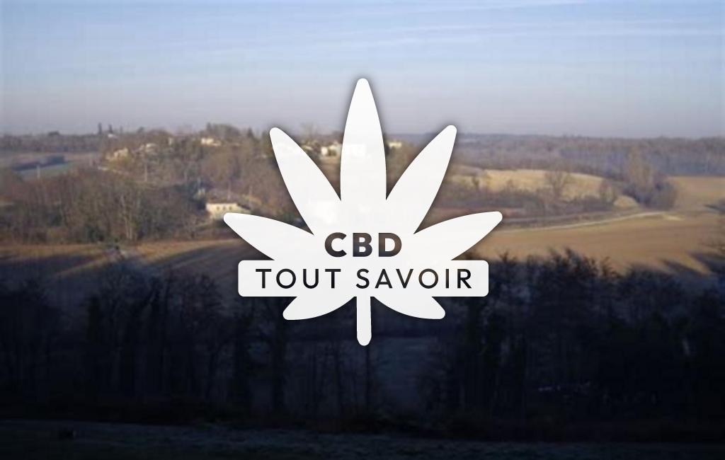 Village à Bellefond avec feuille Cannabis CBD