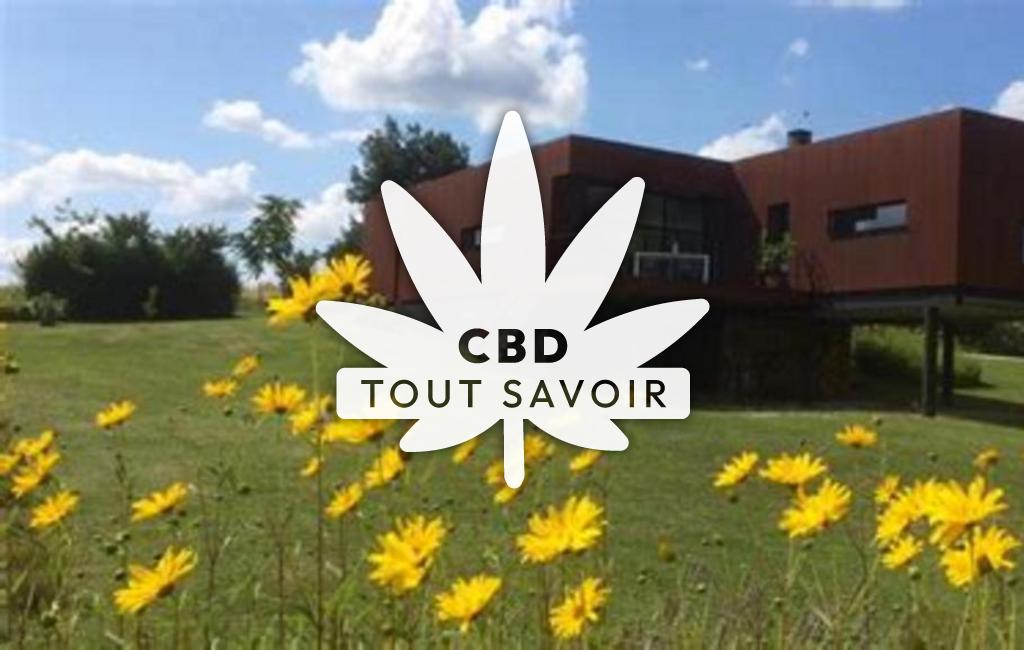 Village à Cazaugitat avec feuille Cannabis CBD