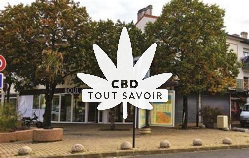 Village à Ambes avec feuille Cannabis CBD