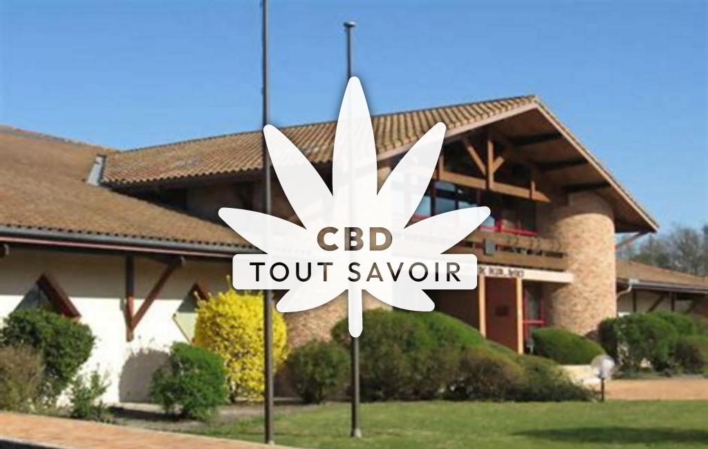 Village à Belin-Beliet avec feuille Cannabis CBD