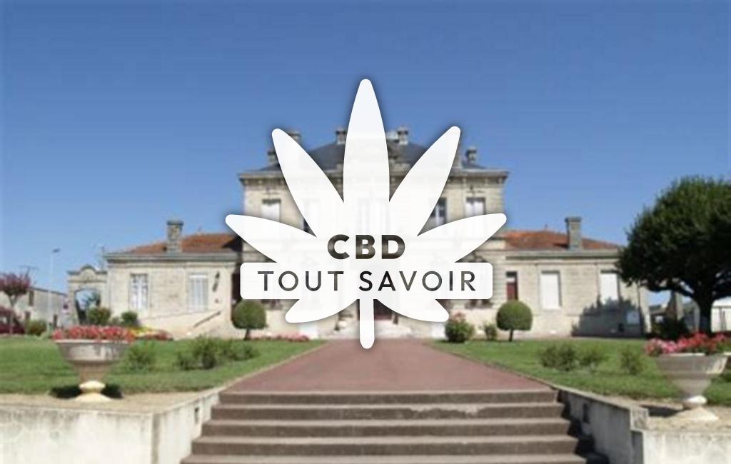 Village à Saint-Savin avec feuille Cannabis CBD