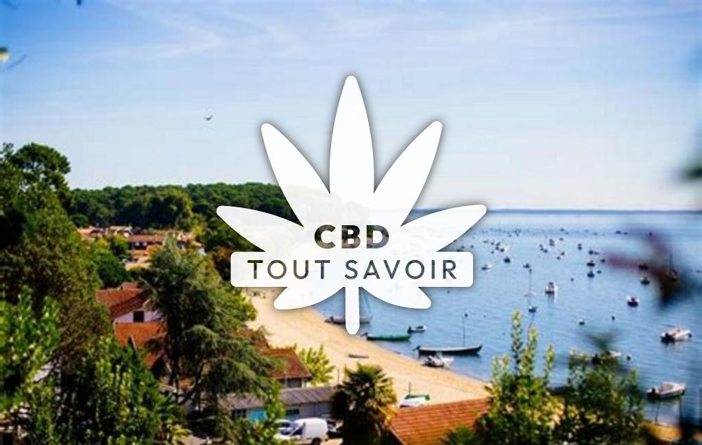 Village à Lege-Cap-Ferret avec feuille Cannabis CBD