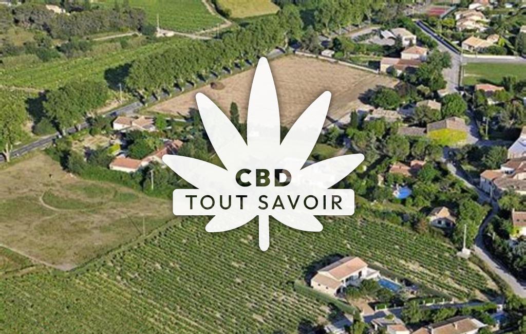 Village à Montaud avec feuille Cannabis CBD