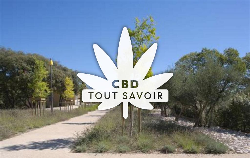 Village à Saint-Bauzille-de-Montmel avec feuille Cannabis CBD