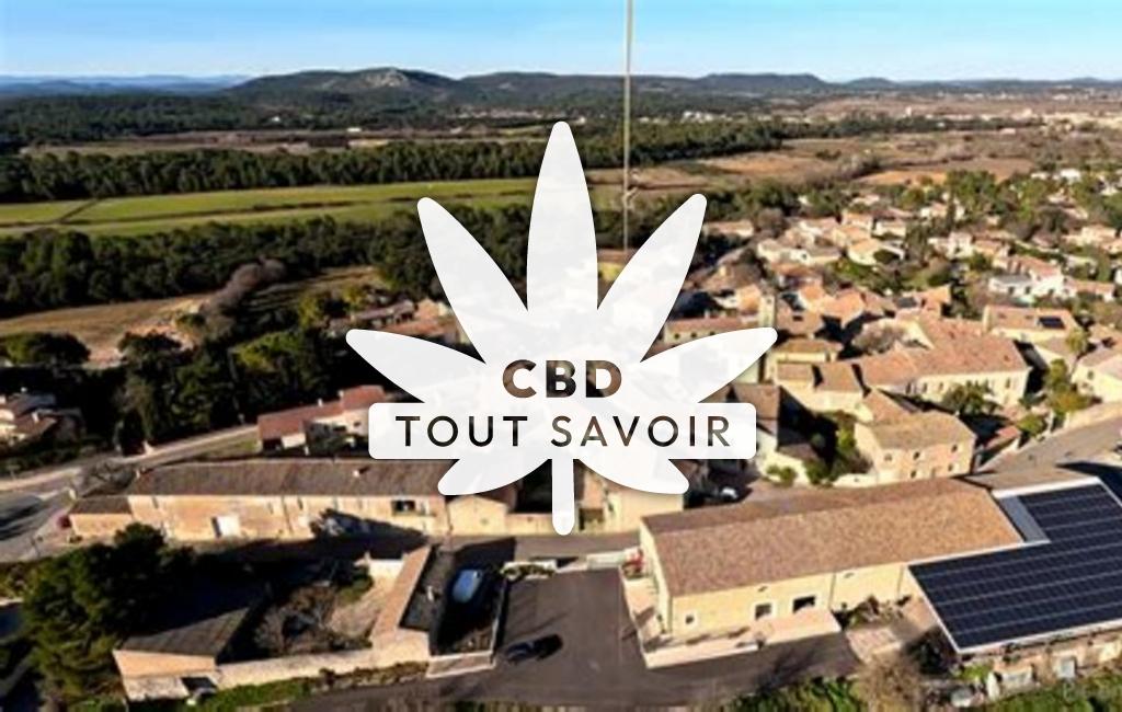 Village à Saint-Hilaire-de-Beauvoir avec feuille Cannabis CBD