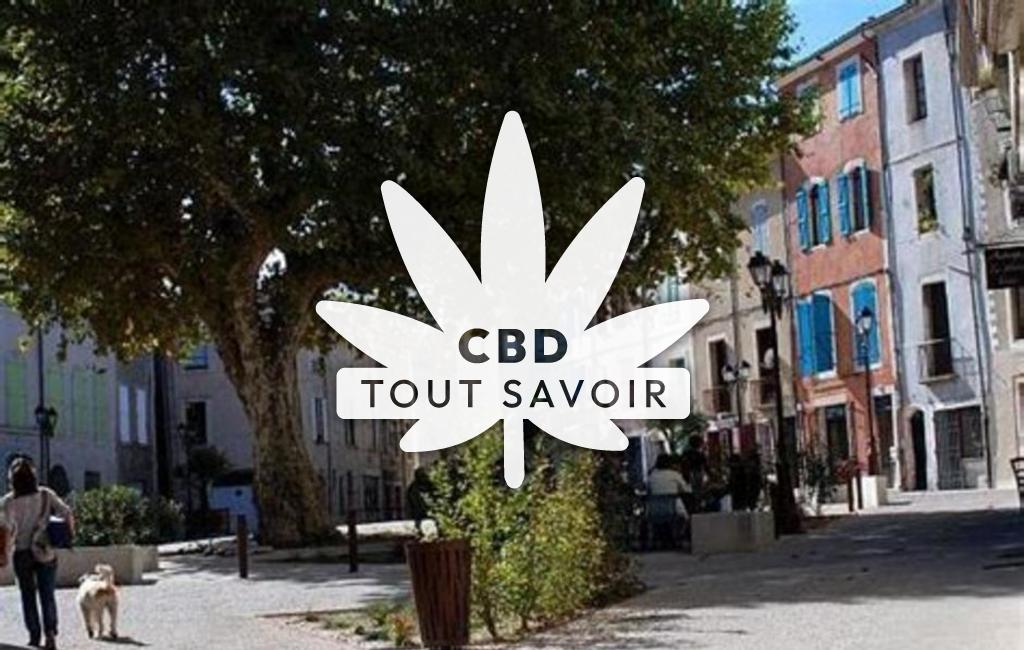 Village à Ganges avec feuille Cannabis CBD