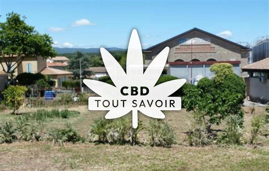 Village à Aigues-Vives avec feuille Cannabis CBD