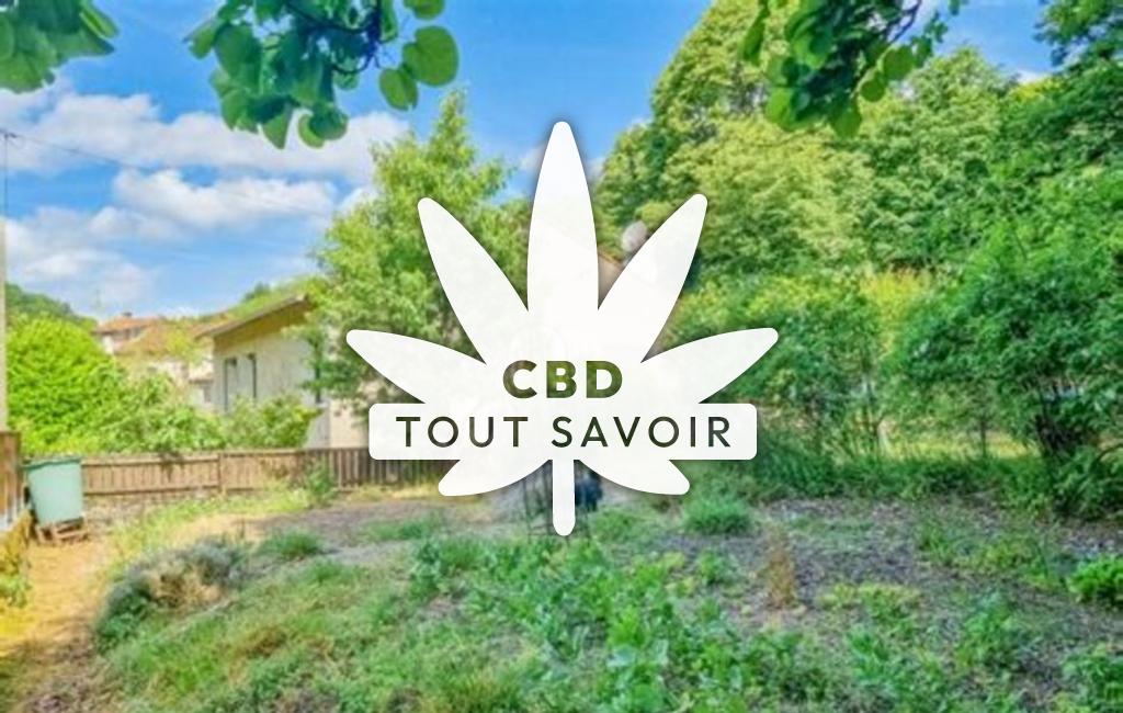 Village à Verreries-de-Moussans avec feuille Cannabis CBD