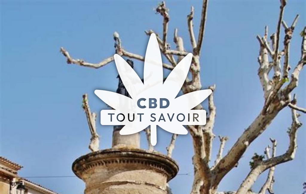Village à Saint-Bauzille-de-la-Sylve avec feuille Cannabis CBD