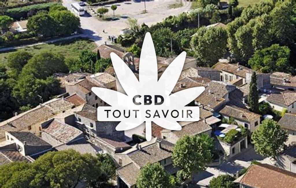 Village à Sainte-Croix-de-Quintillargues avec feuille Cannabis CBD