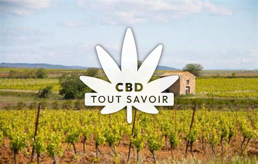 Village à Alignan-du-Vent avec feuille Cannabis CBD