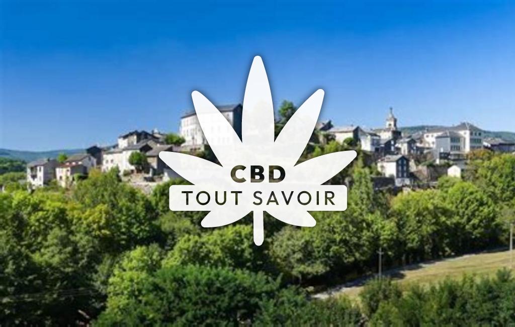 Village à La-Salvetat-sur-Agout avec feuille Cannabis CBD